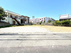 概観画像