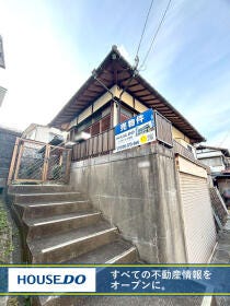 概観画像