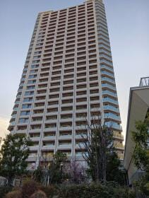 川口市金山町