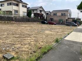 概観画像