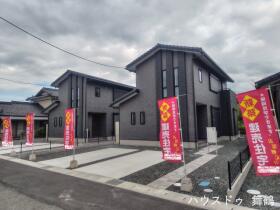 概観画像