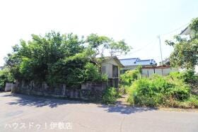 概観画像