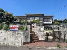 概観画像