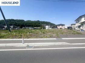 概観画像