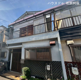 概観画像