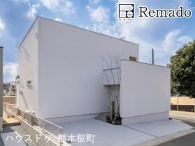 概観画像
