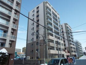 概観画像