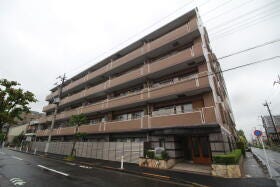 概観画像