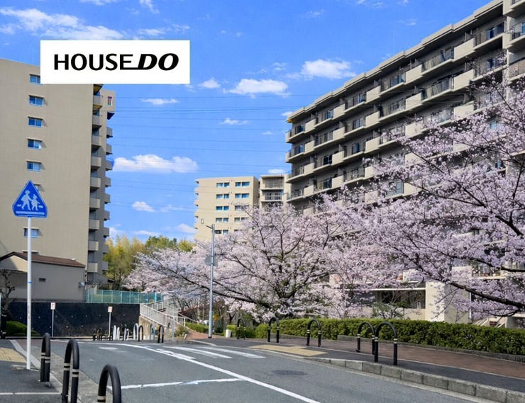 前道は桜並木に彩られた美しい街並みが魅力。四季の移ろいを身近に感じながら暮らせる住環境です。