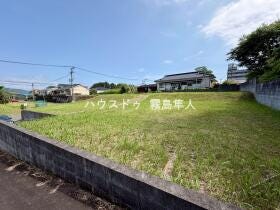 概観画像