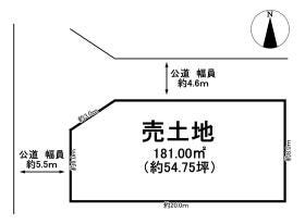 概観画像