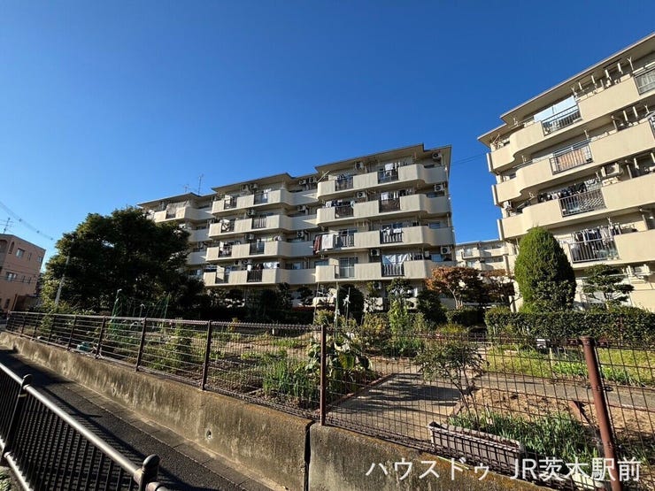 敷地内で家庭菜園も出来ます♪