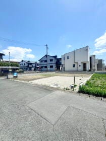 概観画像