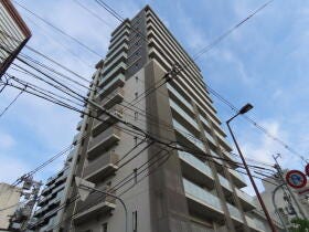 概観画像