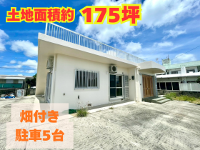 概観画像