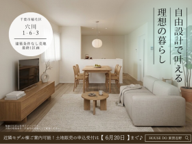 概観画像