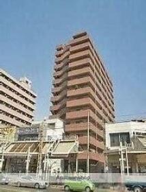 概観画像