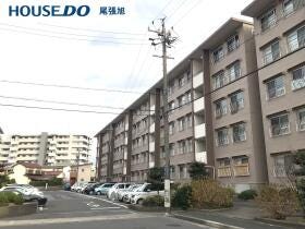 概観画像