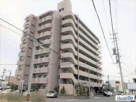 概観画像