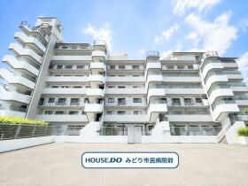 概観画像