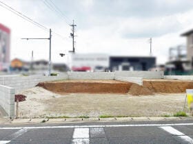 概観画像
