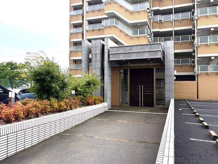 室内(2026年6月)撮影