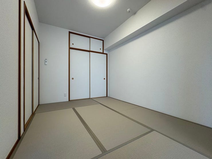 室内(2026年6月)撮影