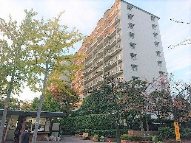 松戸は市をあげての手厚い子育て支援や医療施設の充実、子供からお年寄りまで住みやすい地域です。公園や自然が多く、江戸川の河川敷ものんびりとした良い雰囲気です。