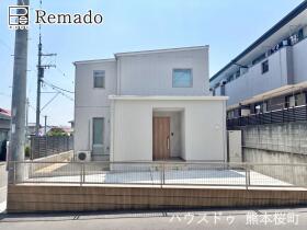 概観画像