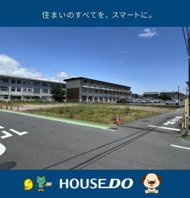 概観画像