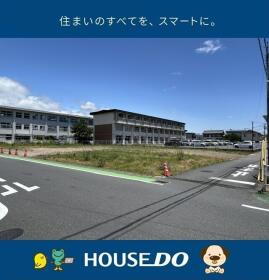概観画像