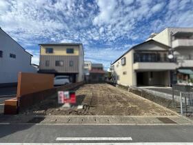 概観画像
