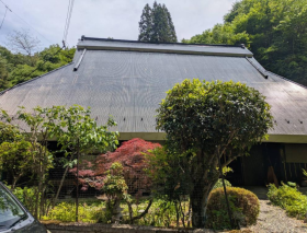 概観画像