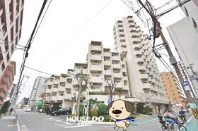 概観画像