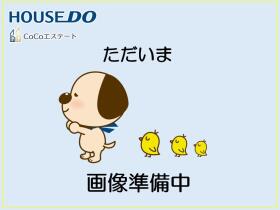 概観画像