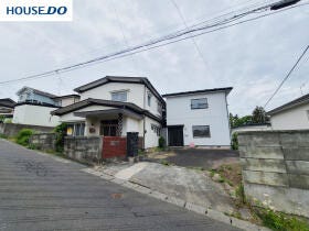 概観画像