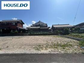 概観画像