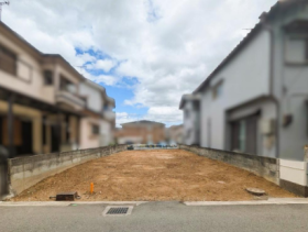 概観画像