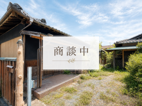 概観画像