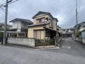 概観画像
