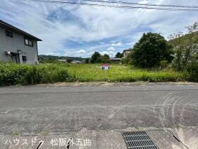 概観画像