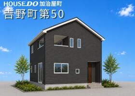 概観画像