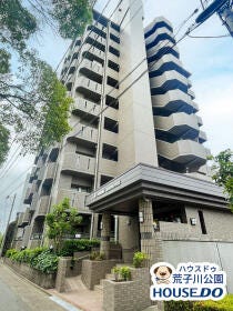 概観画像