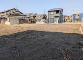概観画像