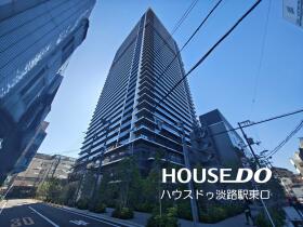 概観画像