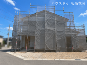概観画像