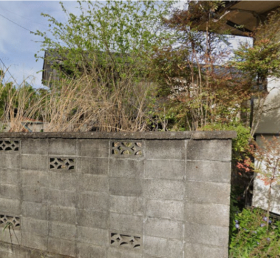 南アルプス市東南湖