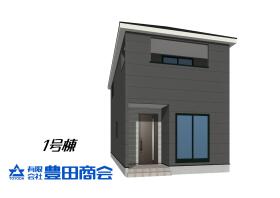 概観画像