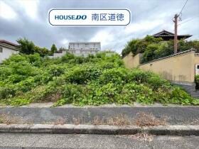 概観画像