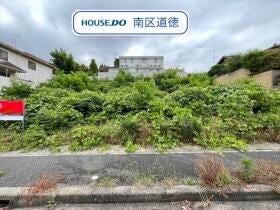 概観画像